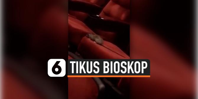 VIDEO: Heboh, Seekor Tikus Asik Main di Bangku Bioskop