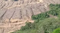 Video lawas tipu-tipu pohon rindang di sepanjang jalan Kalimantan viral lagi. (dok. TikTok @cundangin/https://www.tiktok.com/@cundangin/video/7290443193198464262)