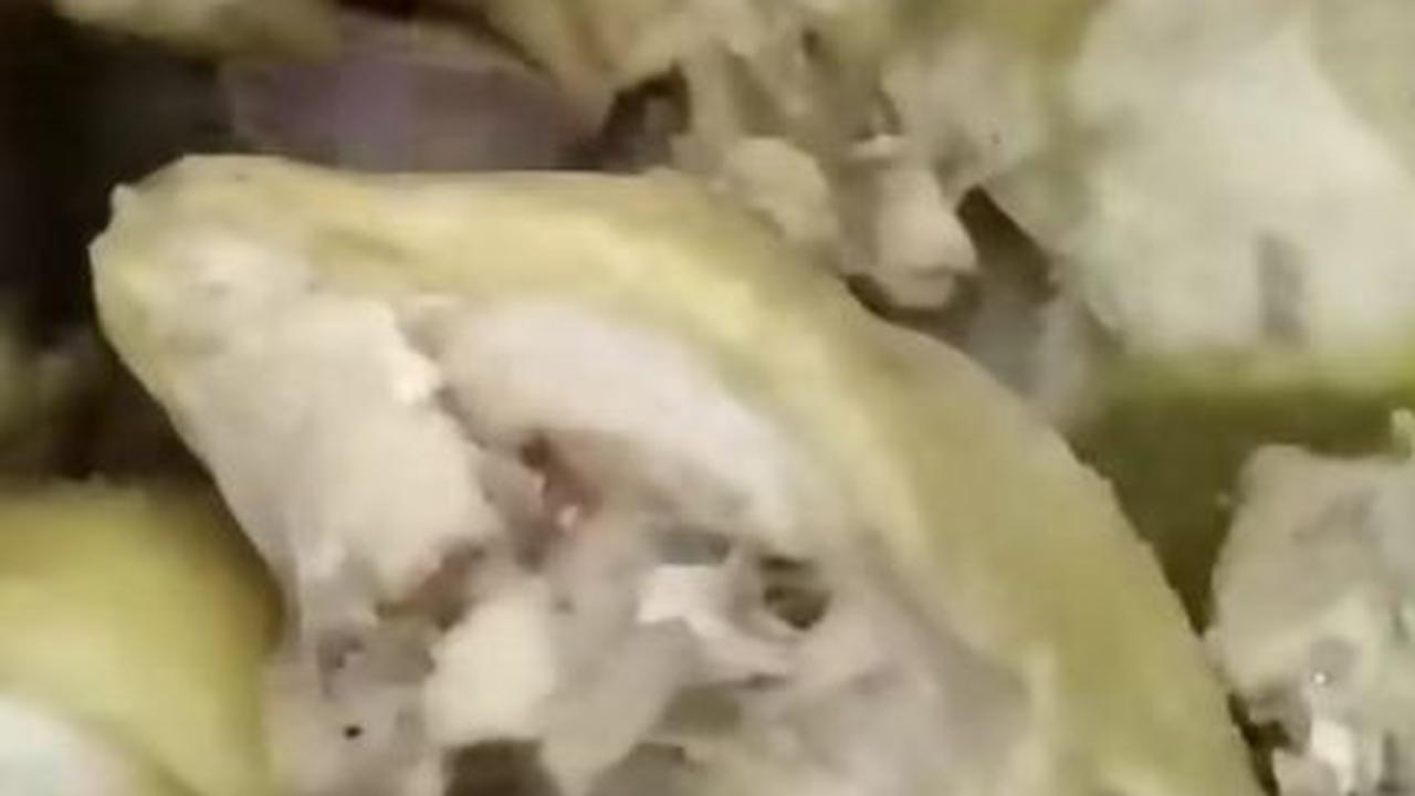 Masak Ayam Kampung dengan Sedikit Air