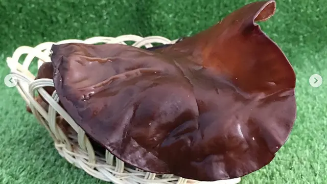 Jamur Kuping / Instagram @rumahsayurid