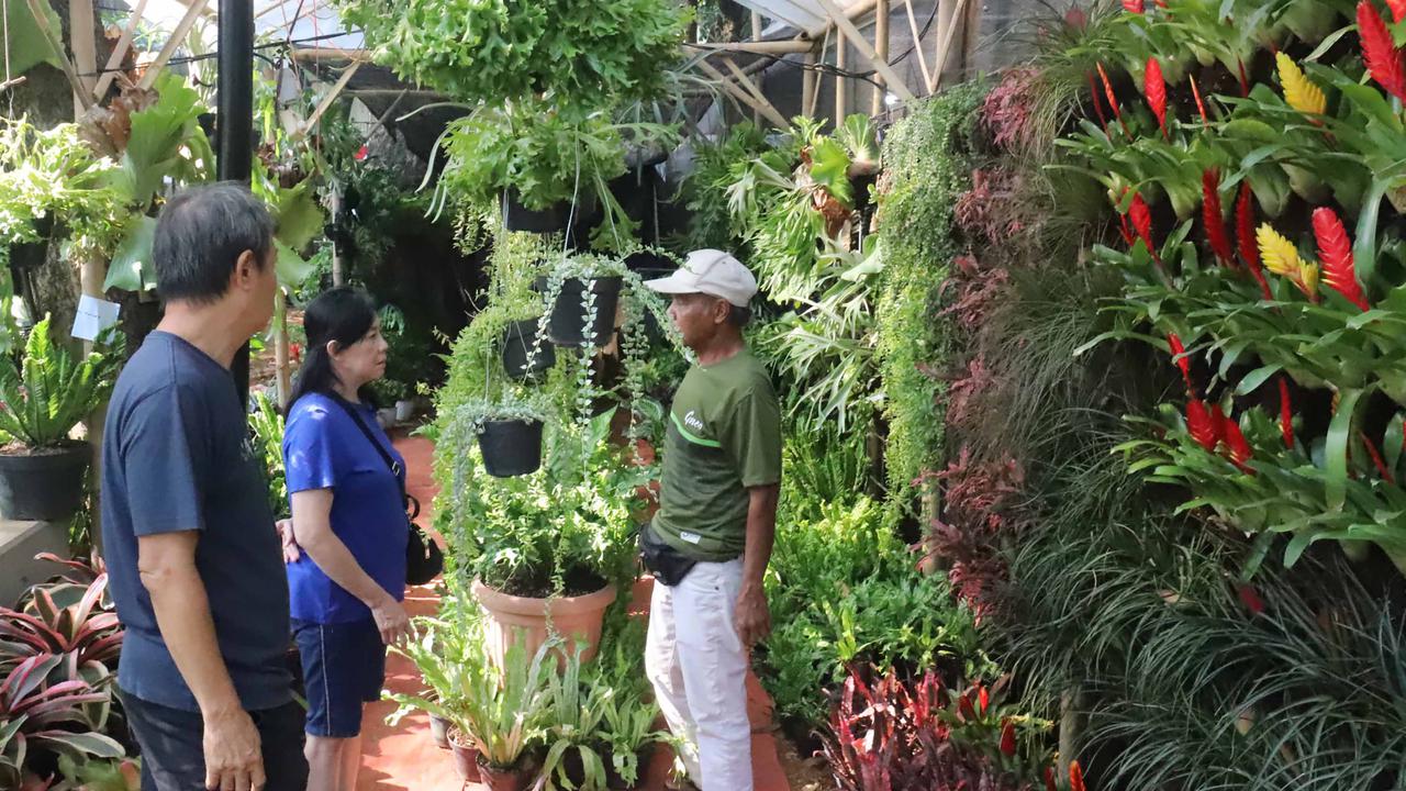 Menikmati Kekayaan Flora Nusantara di Tengah Jakarta