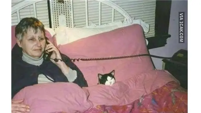 6 Potret Kompak Orang dan Kucing Saat Tidur Ini Bikin Gemas