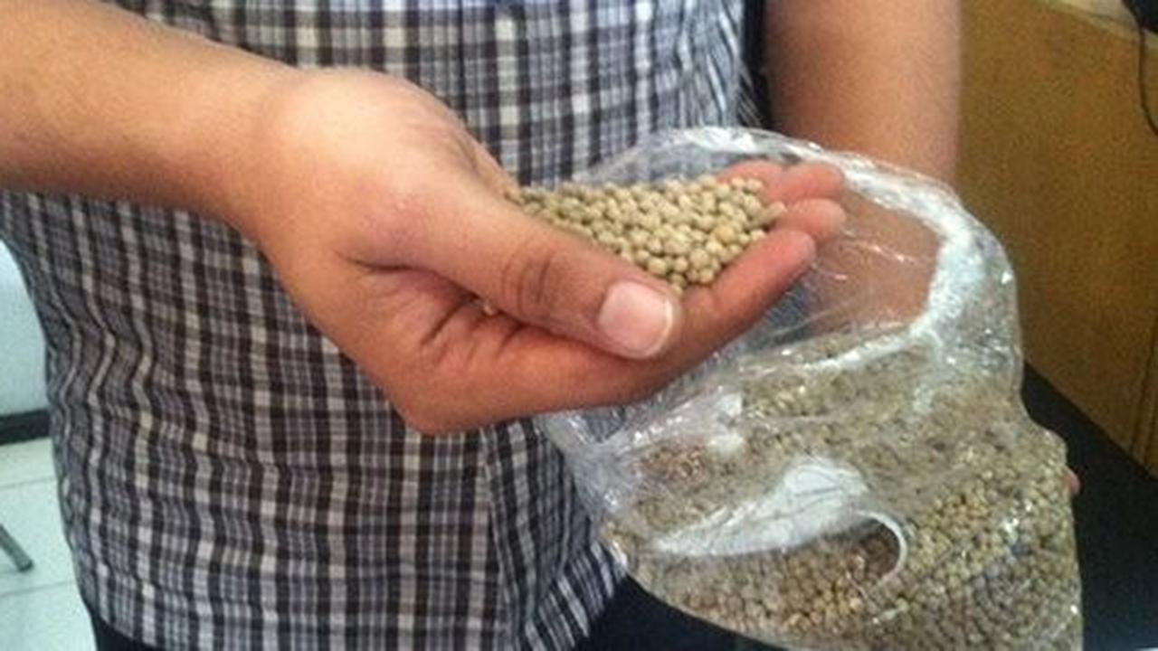 Lagi, merica palsu berbahan tepung beredar di Kudus