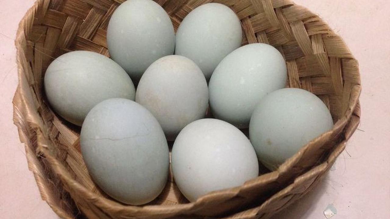 <b>1. Gunakan Telur Ayam dan Telur Bebek</b><br>