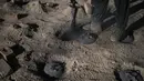 Seorang buruh Afghanistan bekerja di sebuah pabrik batu bata di Deh Sabz, di pinggiran Kabul, Afghanistan, Minggu (26/9/2021). Para buruh biasanya bekerja selama 14 jam per hari, 6 hari dalam seminggu. (AP Photo/Bernat Armangue)