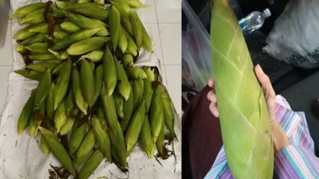Ditinggal Suami Tanpa Kabar, Kisah Perjuangan Wanita Hamil 7 Bulan Ini Bikin Haru