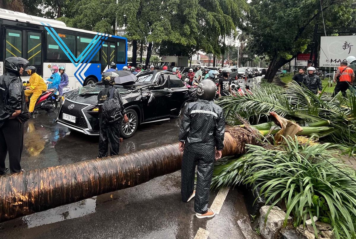 FOTO: Pohon Tumbang Timpa Mobil Mewah di Pondok Indah, Supir Tewas di Tempat