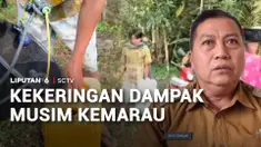 Musim kemarau tidak hanya memunculkan kebakaran, tapi juga krisis air bersih. Di sejumlah wilayah, sumur warga mengering, hingga terpaksa memanfaatkan air sungai untuk kebutuhan harian.