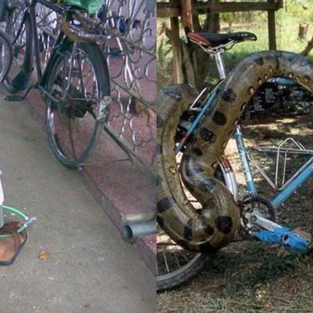 Paling Bagus 11+ Gambar Lucu Jemuran Uang - Richa Gambar