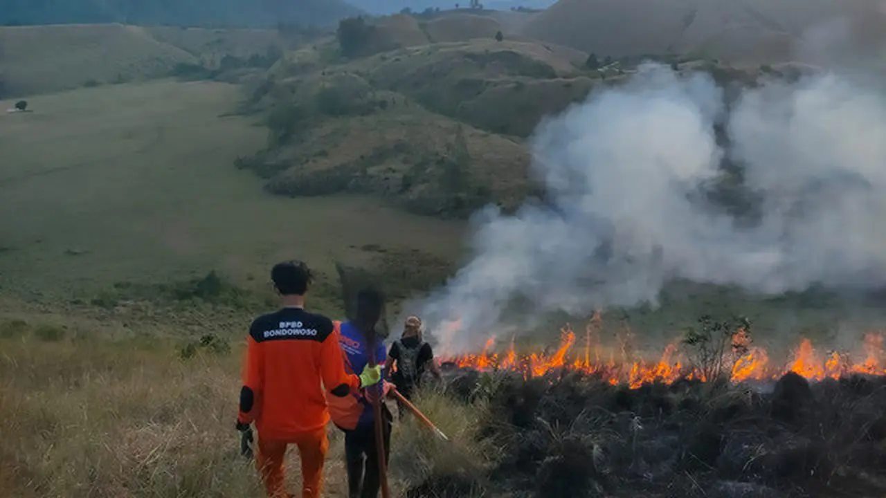 Petugas Gabungan dari BPBD Bondowoso berjibaku memadamkan lahan savana kawah wurung yang terbakar.