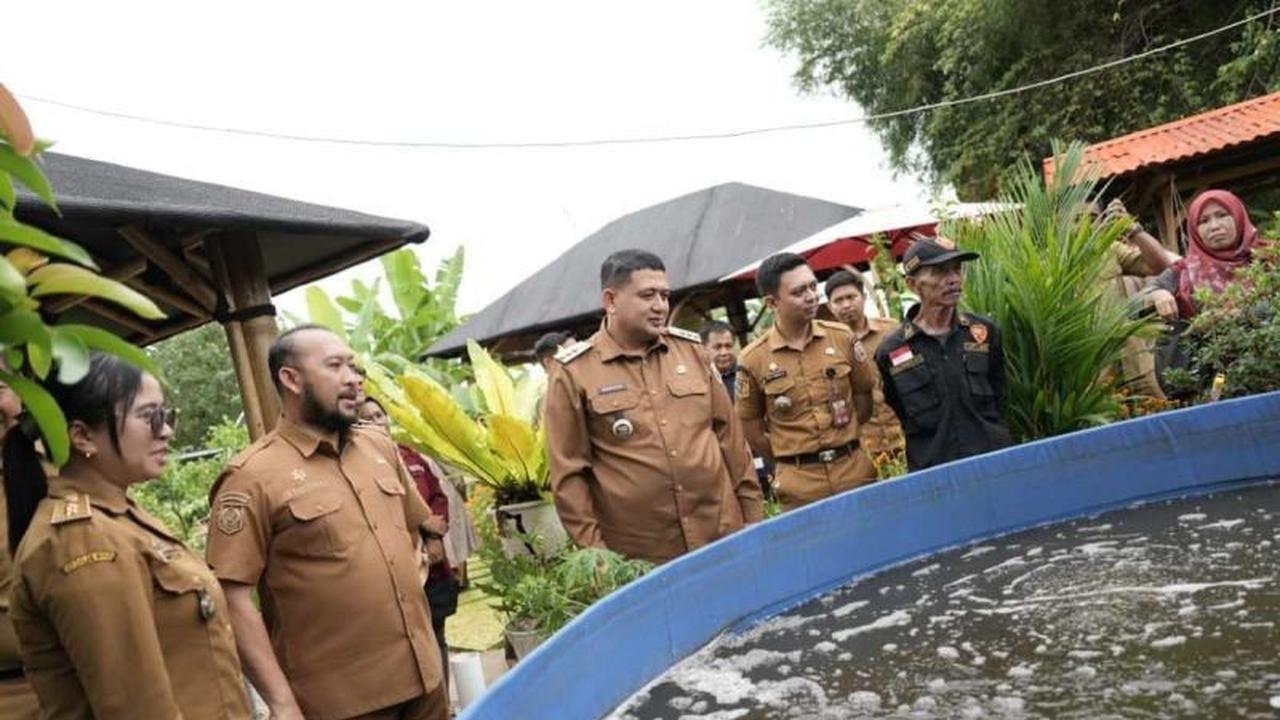 Wali Kota Makassar Dorong Pertanian Perkotaan Dukung Ketahanan Pangan dan Program MBG