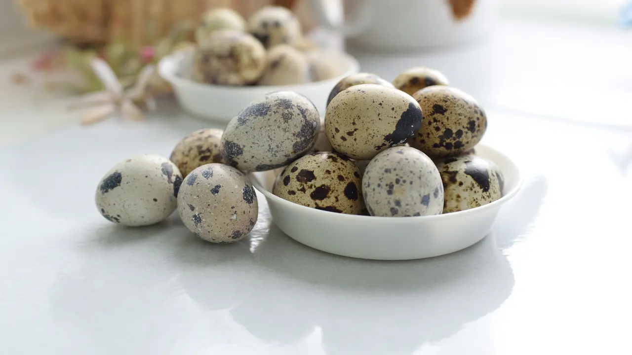 Telur puyuh