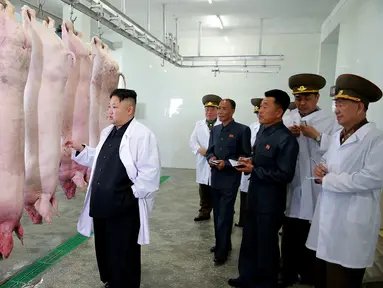 Kim Jong Un memeriksa bangkai babi sebelum diolah saat mengunjungi Peternakan Babi Thaechon di Korea Utara, 23 April 2017. Dalam kunjungan ini, Kim Jong Un didampingi sejumlah pejabat. (AFP /Foto/KCNA VIA KNS/Str)