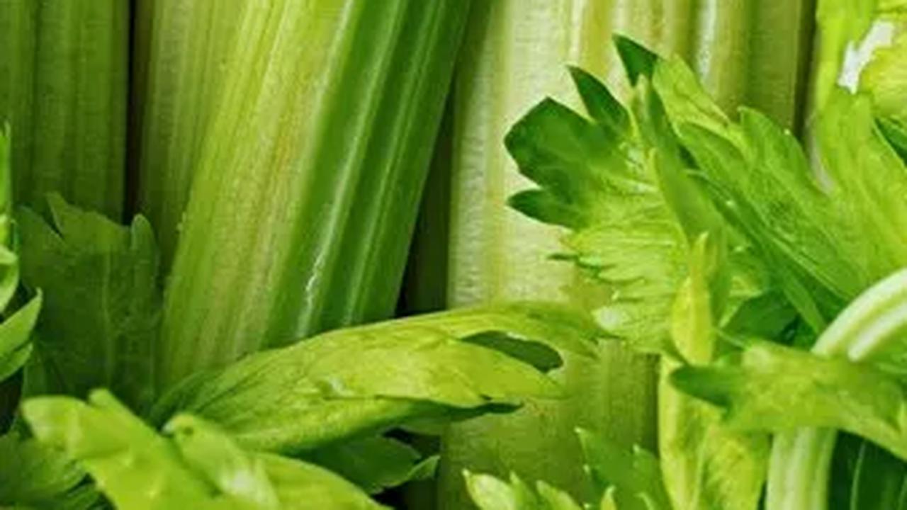 5. Seledri: Manfaat Luar Biasa dari Sayuran Diet Ini<br>