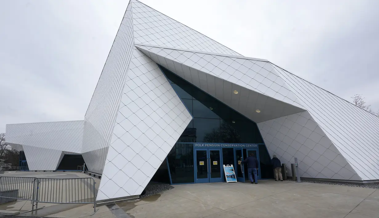 Pusat Konservasi Penguin Polk di Kebun Binatang Detroit, Michigan, 16 Februari 2022. Pusat Konservasi Penguin Terbesar di Kebun Binatang Detroit telah dibuka kembali untuk umum setelah ditutup lebih dari dua tahun untuk memperbaiki lapisan kedap air yang rusak. (AP Photo/Paul Sancya)