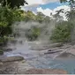 Air Mendidih di Sungai Mayantuyacu, Amazon. (dok.Instagram @david.ldh/https://www.instagram.com/p/Bu0RdHnHMcK/Henry