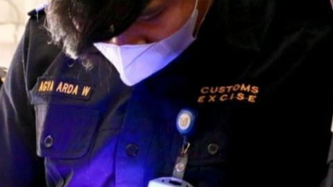 Heboh Barang-Barang Psikolog Lita Gading Dibongkar Paksa Bea Cukai, Ini Aturan Jumlah Barang Bawaan dari Luar Negeri