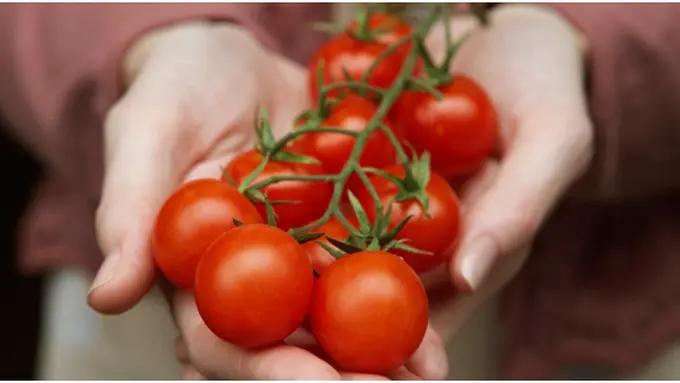 Photo copyright Thinkstockphotos.net