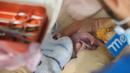 Seorang dokter hewan merawat anak kembar pertama yang dilahirkan panda betina Huan Huan di Beauval Zoo, Saint-Aignan-sur-Cher, Prancis, 1 Agustus 2021. Huan Huan melahirkan dua anak kembar dalam keadaan sehat. (Guillaume SOUVANT/AFP)
