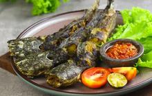 Langkah Mudah Menggoreng Lele agar Tidak Mengkerut dan Menyengat