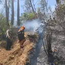 Kebakaran Gunung Butak Padam Total, Petugas Tetap Siaga