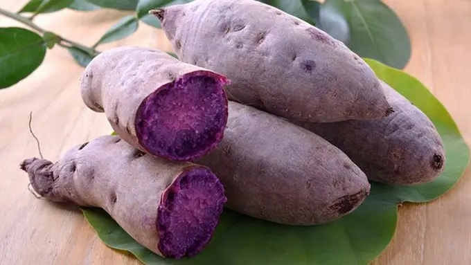 copyright shutterstock.com