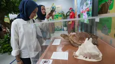 Pengunjung melihat koleksi penyu sisik dan kerang kepala kambing dalam pameran “Hutan dan Peradaban: Dari Ekosistem Kehidupan Menuju Masa Depan” yang digelar gratis di area publik Stasiun MRT Bundaran HI, Jakarta, Senin (12/10/2026).(KLY/Budy Santoso)