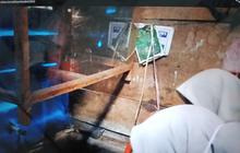 Waspada! 42 Kasus DBD Pasaman Barat di Sungai Aur, Dinkes Tetapkan KLB dan Gencarkan PSN