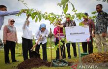 OIKN Perkuat Komitmen Wujudkan IKN Kota Hutan Berkelanjutan Melalui Penanaman Pohon