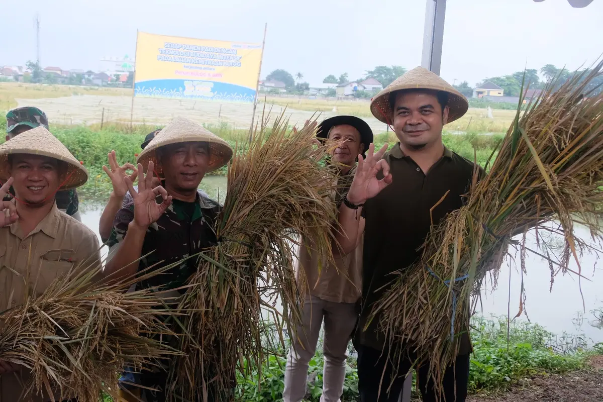 Perum BULOG kembali menunjukkan komitmennya dalam mendukung ketahanan pangan nasional dengan menggelar kegiatan serap dan panen padi