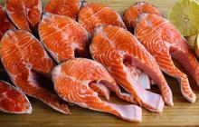 Manfaat Ikan untuk Diet, Makanan Bergizi yang Rendah Kalori