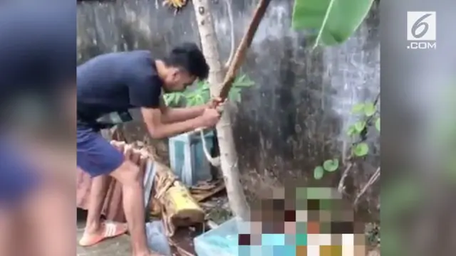 Sebuah video viral berisi tentang pria yang menyiksa seekor anjing yang sedang diikat.