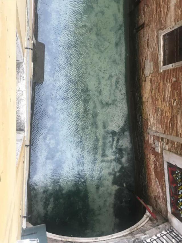 Ditutup karena Corona, Ini Potret Air Sungai di Venesia Jadi Jernih dan Bersih