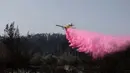 Dinas Pemadam Kebakaran dan Penyelamatan Israel mengatakan sekitar 120 anggota tim, 12 pesawat pemadam kebakaran dan helikopter dikerahkan untuk memadamkan api. (Ahmad GHARABLI/AFP)