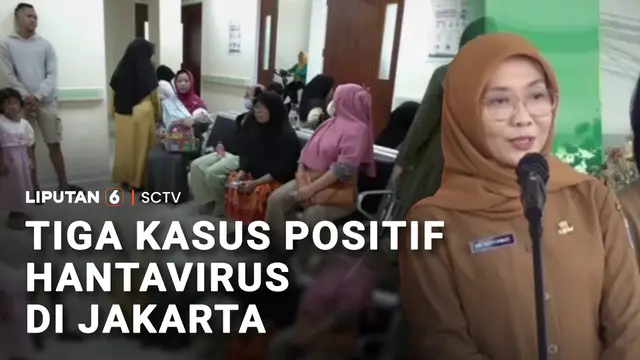 Temuan 3 Kasus Positif Hantavirus di Jakarta, Warga Diminta Waspada!