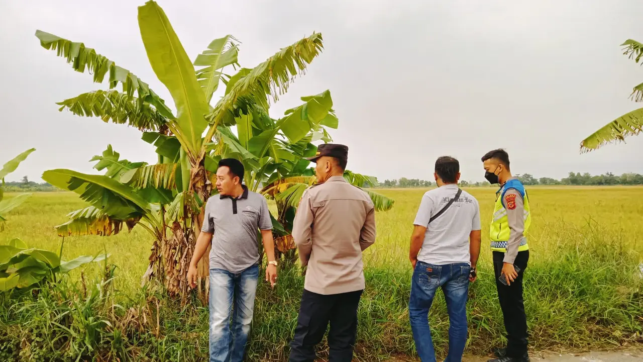Tega Betul, Bayi Cantik Dan Lucu Dibuang Dipinggir Jalan Ditemukan Didalam Tas Terbungkus Kain Putih