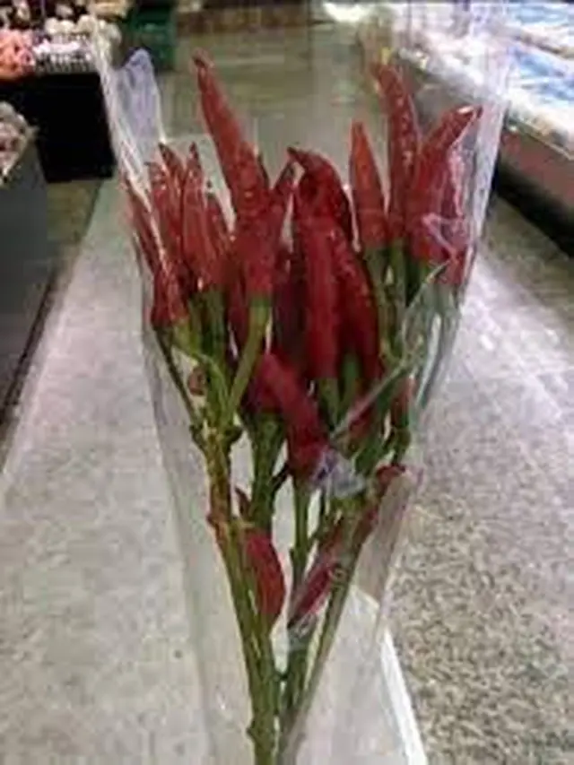 10 Hadiah Valentine yang Anti-Mainstream, Pacar Dijamin Ngakak