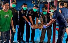 Ekspor Ikan Natuna Mampu Bersaing di Pasar Global, Buktikan Kualitas Unggul