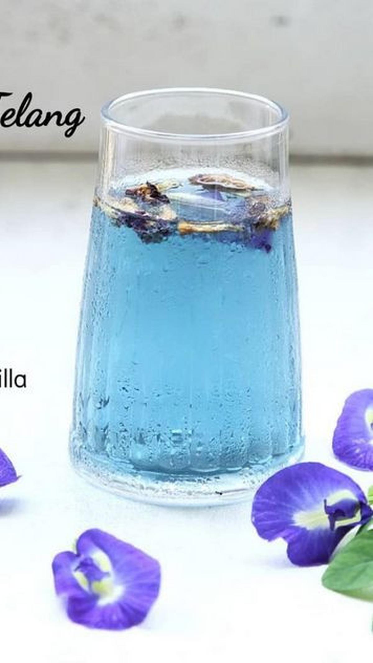 10. Resep Minuman Hangat Buat Takjil Buka Puasa: Teh Bunga Telang<br>