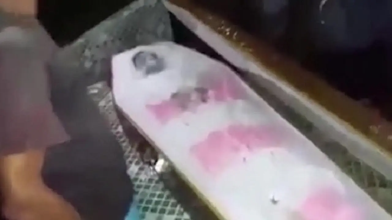 Perempuan Terbakar Hidup-Hidup di Dalam Peti Mati