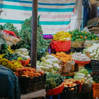 manfaat kangkung./copyright. pexels/
&nbsp;