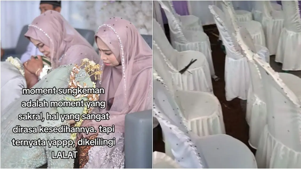 7 Potret Pilu Acara Pernikahan Dipenuhi Ribuan Lalat, Curhatan Pengantin Ini Viral