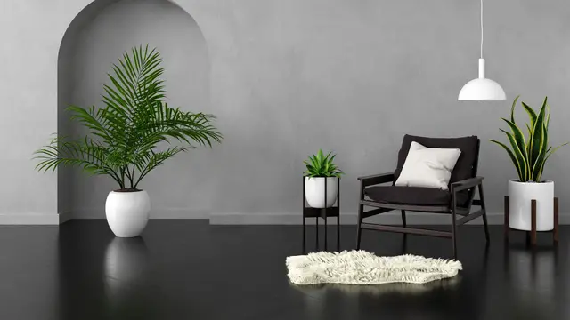 Warna Cat Netral