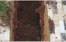 Viral Pria Datangi Makam Neneknya yang Runtuh Usai Dapat Laporan, Temukan Hal ‘Mistis’