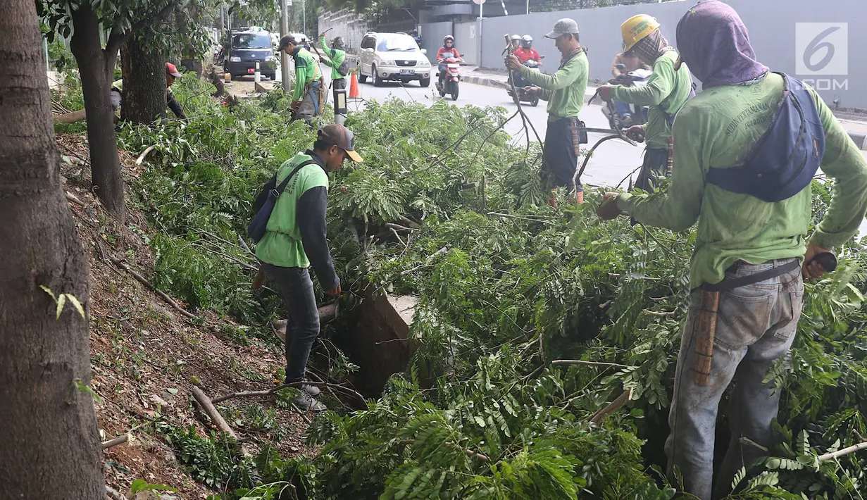 Petugas memangkas dahan pohon yang rimbun di sepanjang Jalan Lenteng Agung Raya, Jakarta Selatan, Rabu (2/1). Pemangkasan dilakukan guna mencegah pohon tumbang akibat musim hujan dan angin kencang. (Liputan6.com/Immanuel Antonius)
