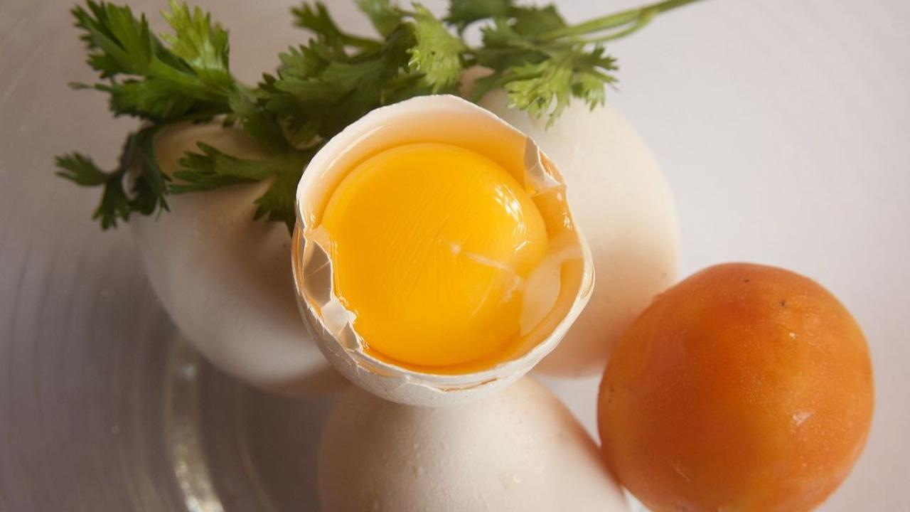 Jenis Makanan Protein