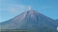 Gunung Semeru Erupsi Lagi Pagi Ini, Tinggi Letusan Capai 900 Meter