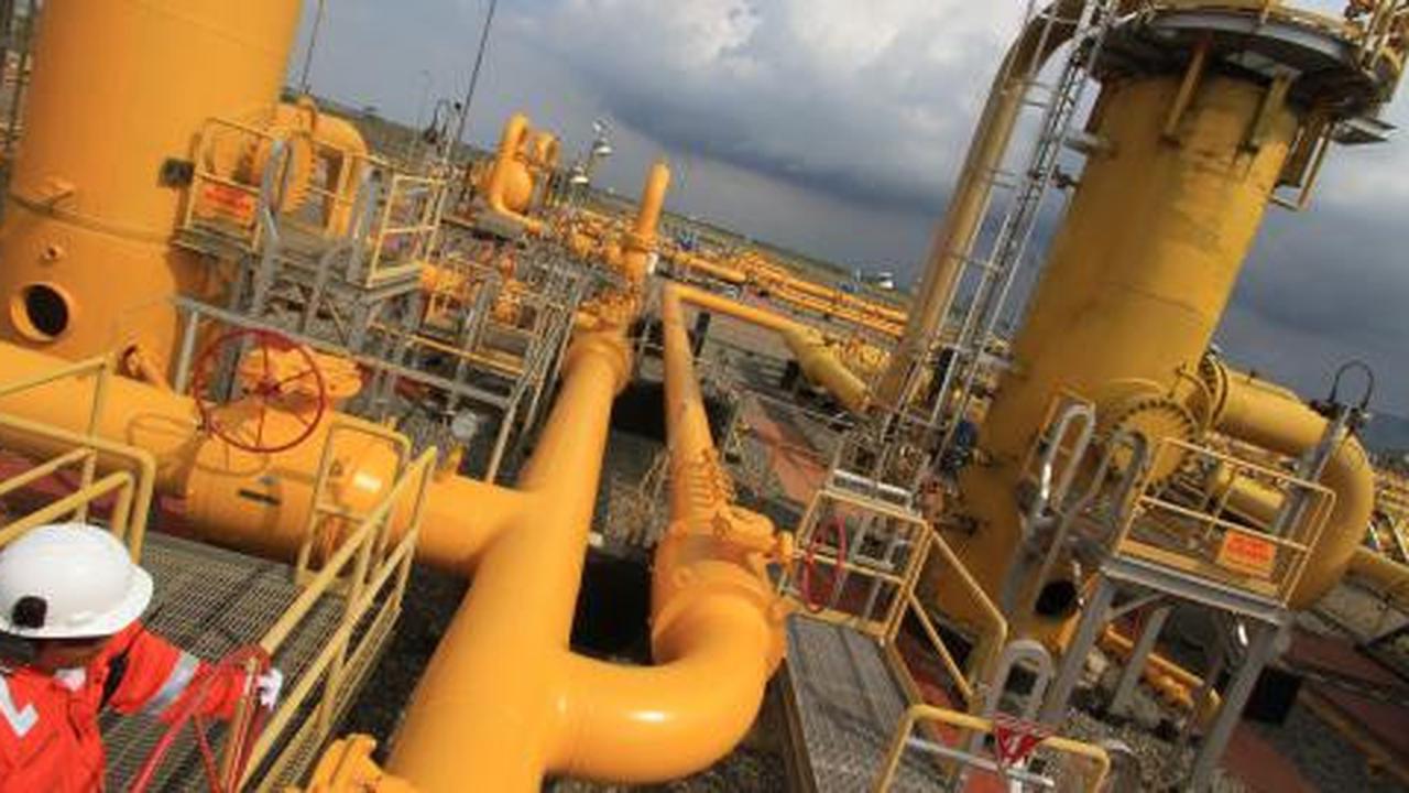Kadin desak harga gas tidak naik dalam 2 tahun  