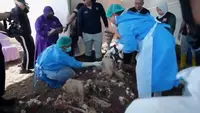 Polisi Belum Bisa Ungkap Penyebab Kematian Sutrimo