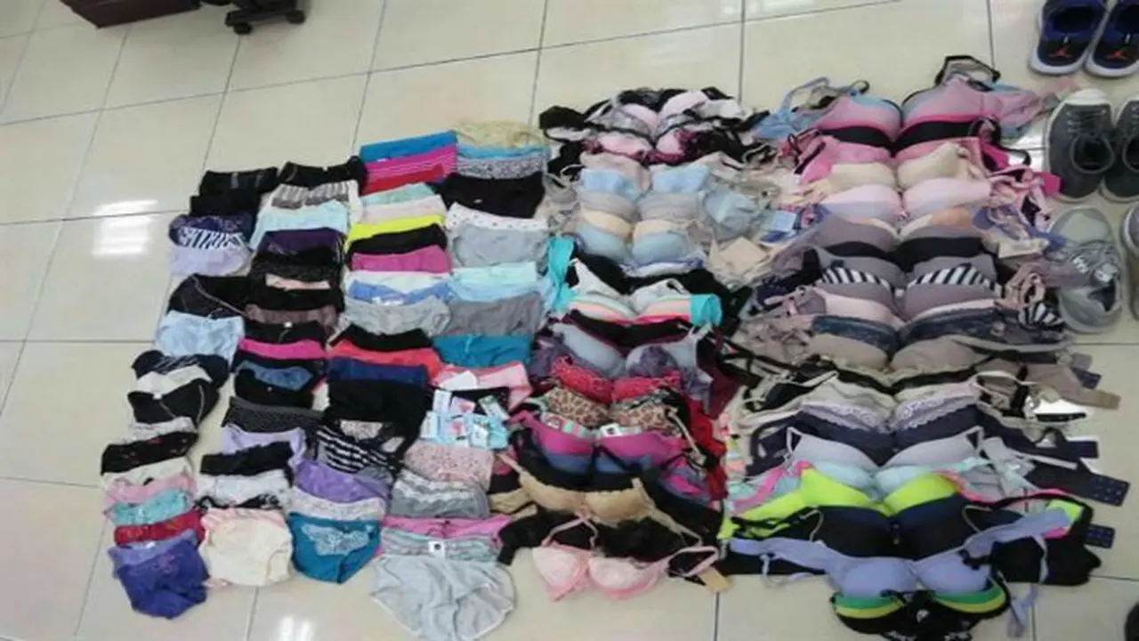 Pencuri pakaian dalam wanita